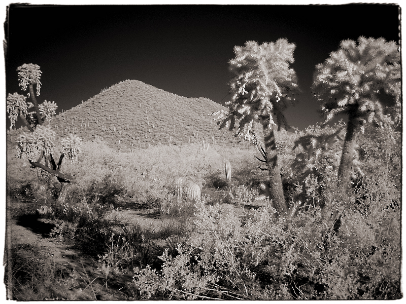Tucson Landscape Infrared in Tucson, AZ  Dave Hickey